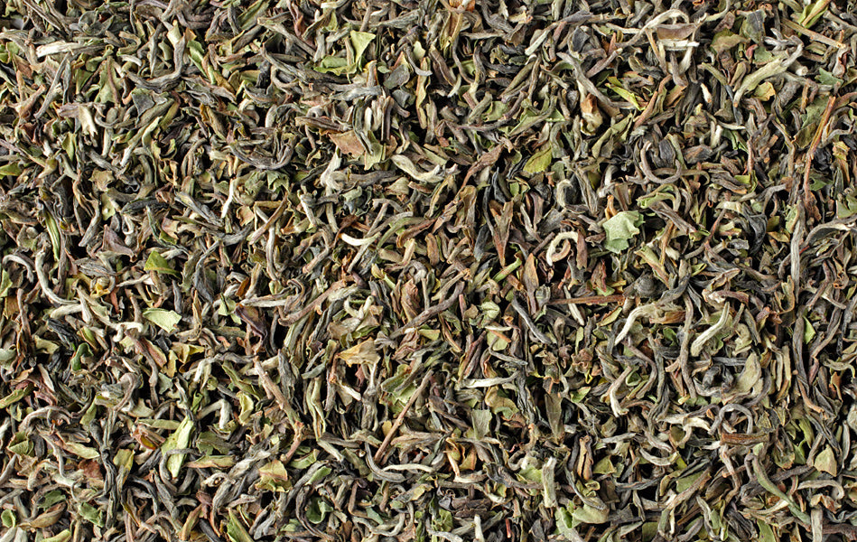 First Flush Darjeeling (2023 Goomtee Estate)