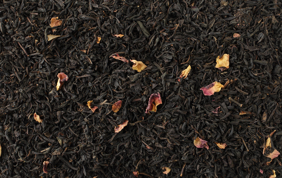 Autumn Cranberry Black