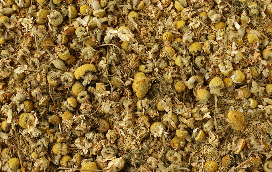 Outlets chamomile tea,dry chamomile tea,dry chamomile flower tea,flower tea,flowers tea,chinese flower tea,blooming flower tea,chamomile flower tea