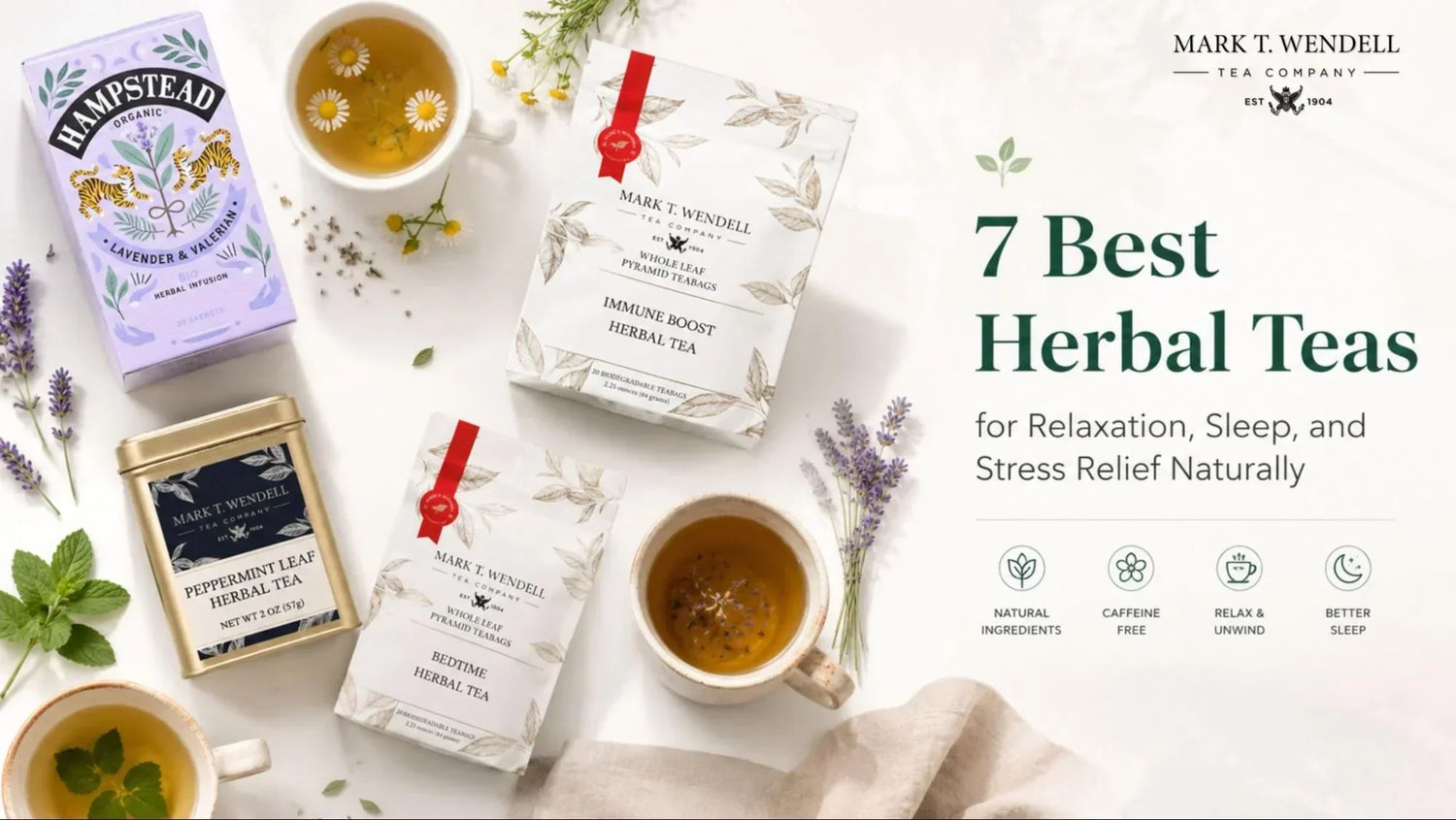 7 Best Herbal Teas for Relaxation, Sleep, and Stress Relief Naturally