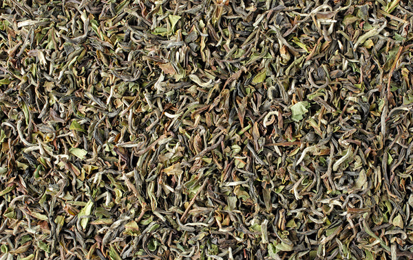 First Flush Darjeeling (2025 Goomtee Estate)