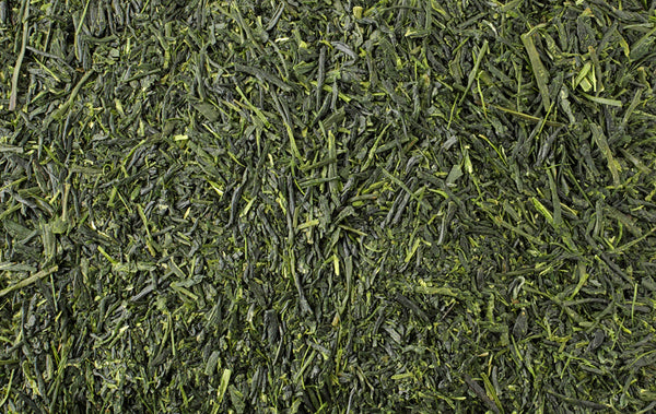 Gyokuro Jade Dew Green